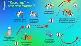 Банк 1: что это означает в Много Мебели