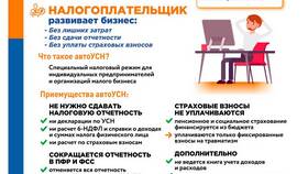 Что понимается под государственными доходами