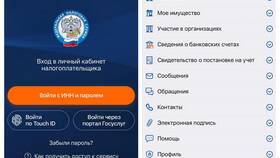 Что такое прочие входные документы в ФНС в Много Мебели
