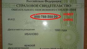 Как оформить СНИЛС через интернет в Много Мебели