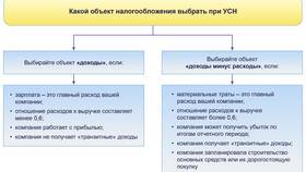 Как определить систему налогообложения ООО в Много Мебели