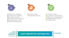 Как получить наследство по завещанию: пошаговая инструкция в Много Мебели