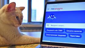 Как получить выписку через интернет в Много Мебели