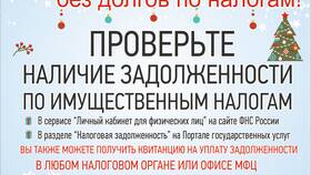 Как проверить, что налог оплачен в Много Мебели