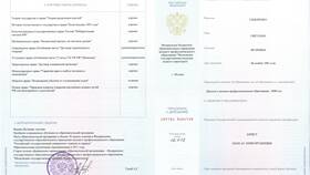 Почему диплом не отражается на Госуслугах в Много Мебели