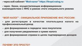 Причины задержек выплат ветеранам труда в Много Мебели