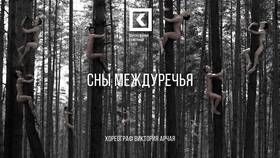 Сны на заказ: как это работает в Много Мебели